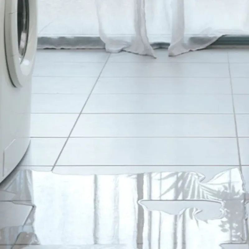Appliance Leak Cleanup in Wharton, TX