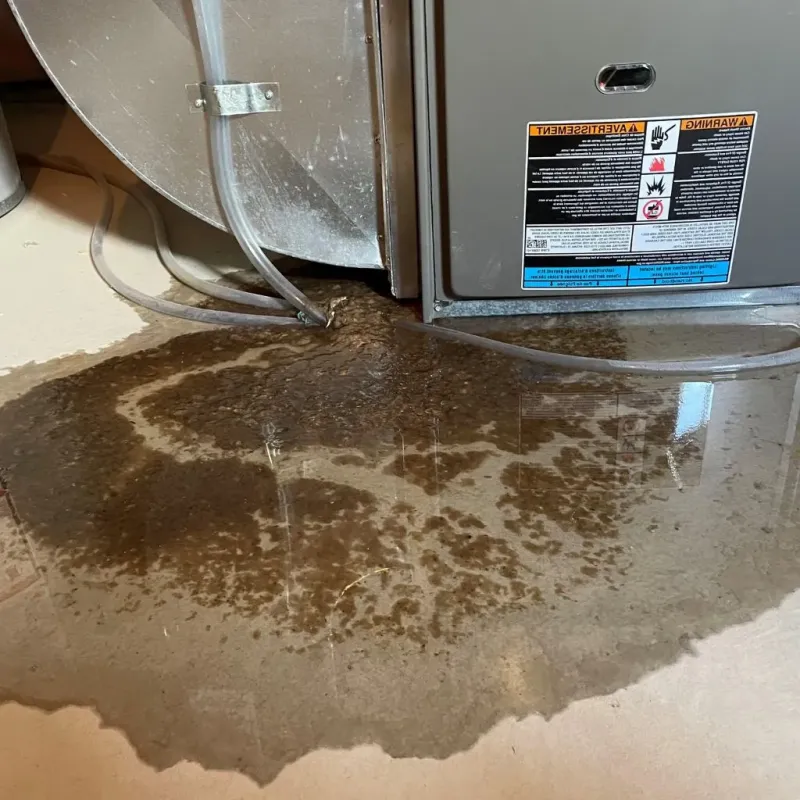 Pipe Burst and Leak Restoration in Wharton, TX