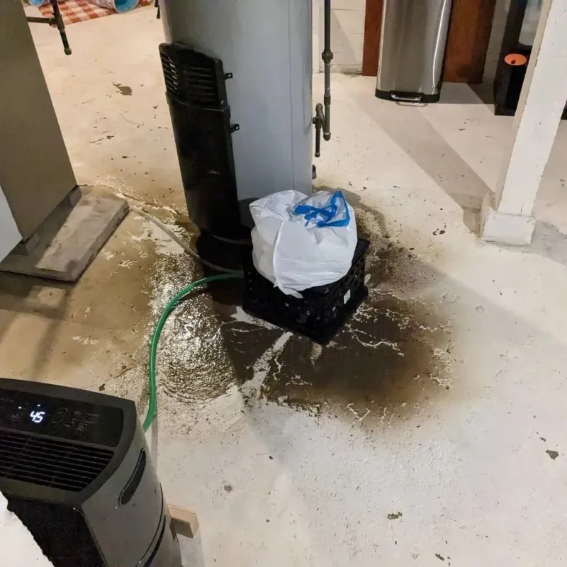 Sewage Backup Cleanup Service in Wharton, TX